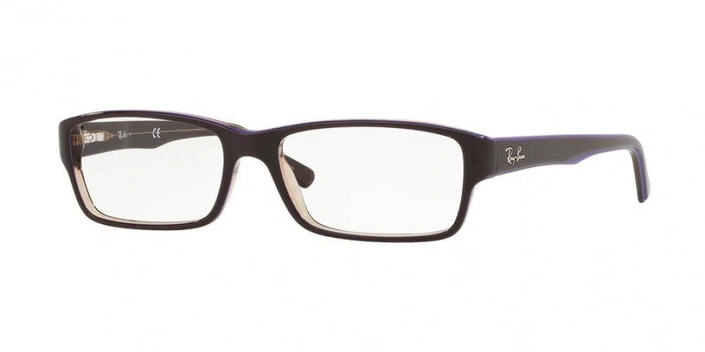 Ray-Ban 5169 Eyeglasses - view 20